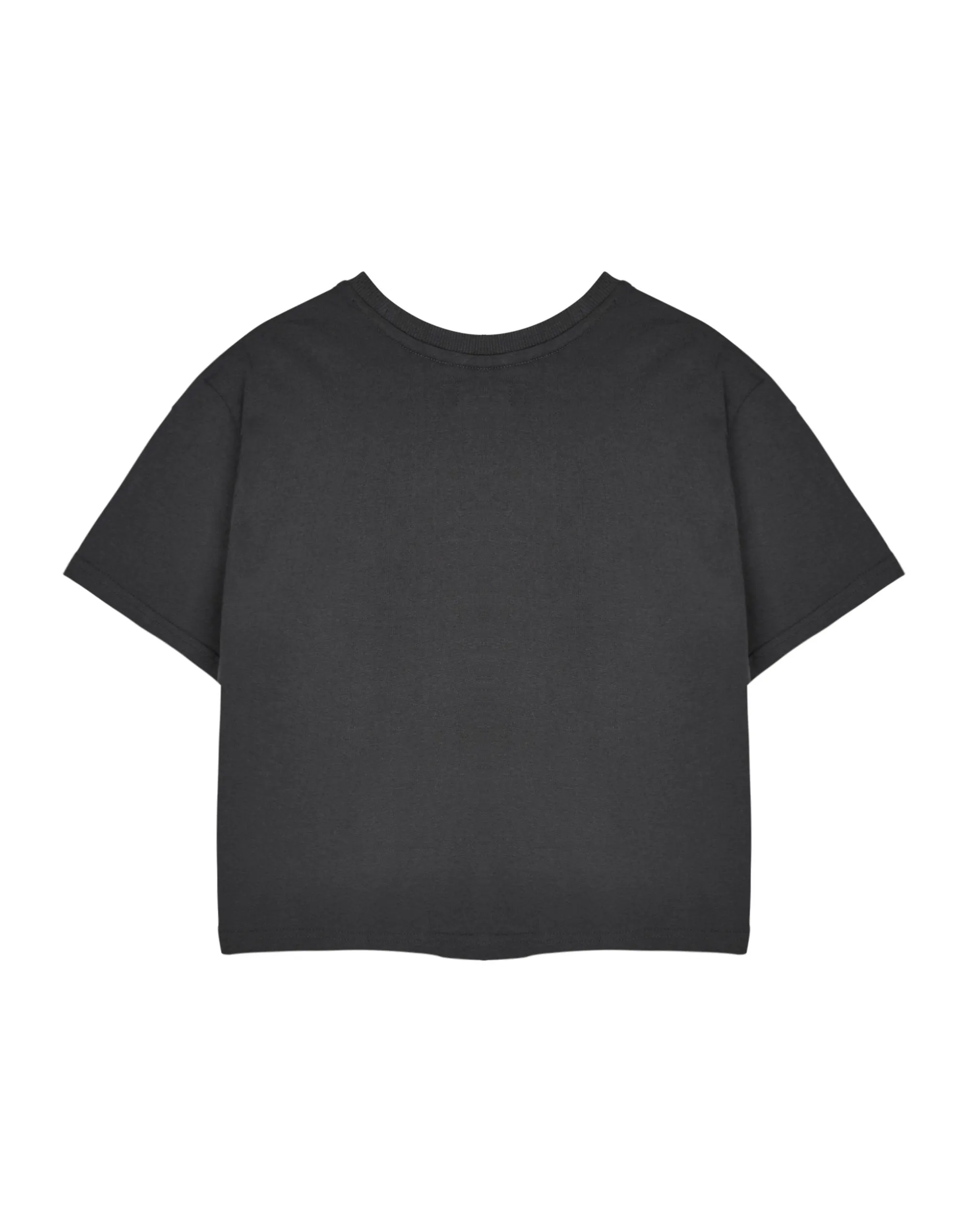 Disney College Crop Womens Grey Cropped Short Sleeved T-Shirt