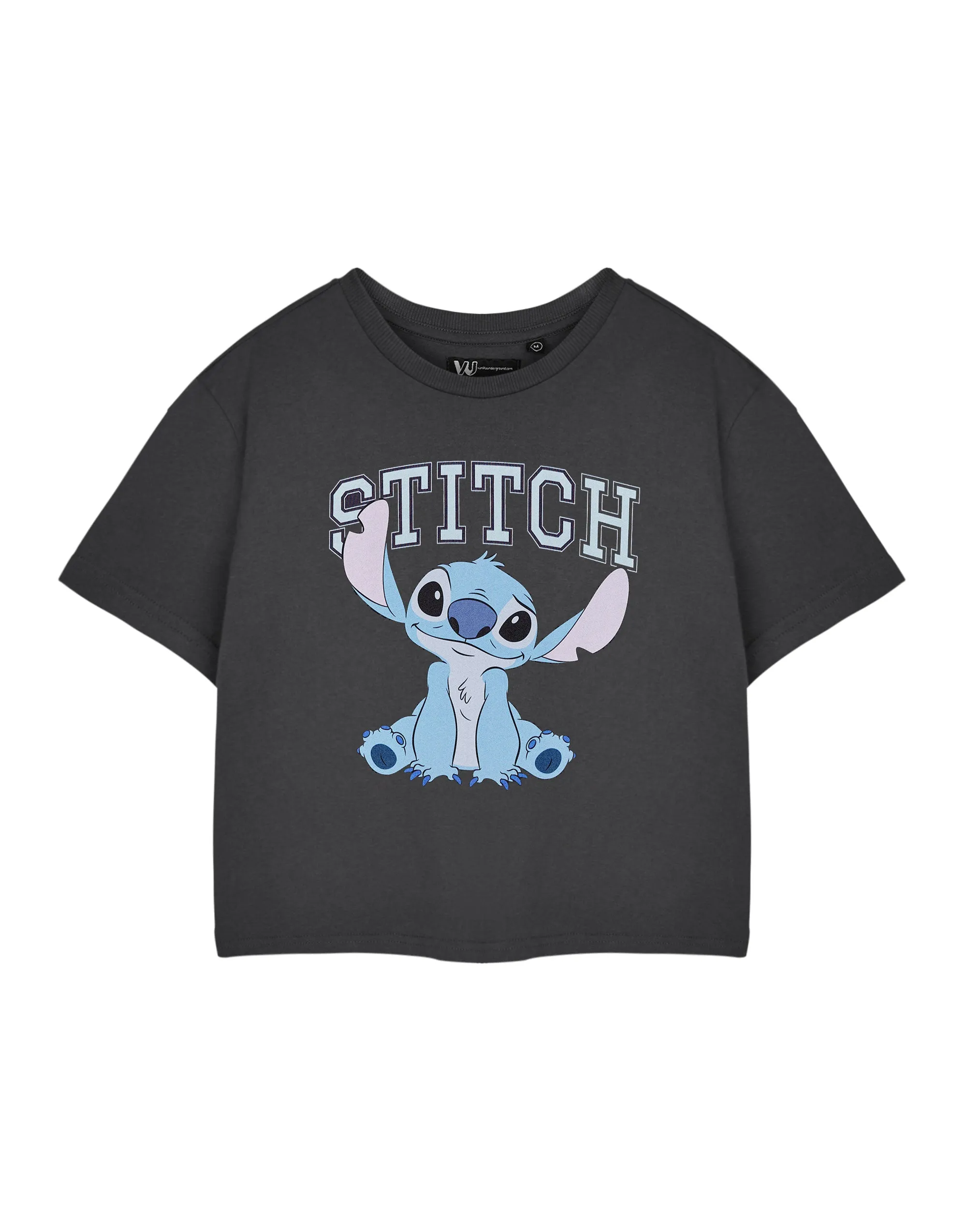 Disney College Crop Womens Grey Cropped Short Sleeved T-Shirt