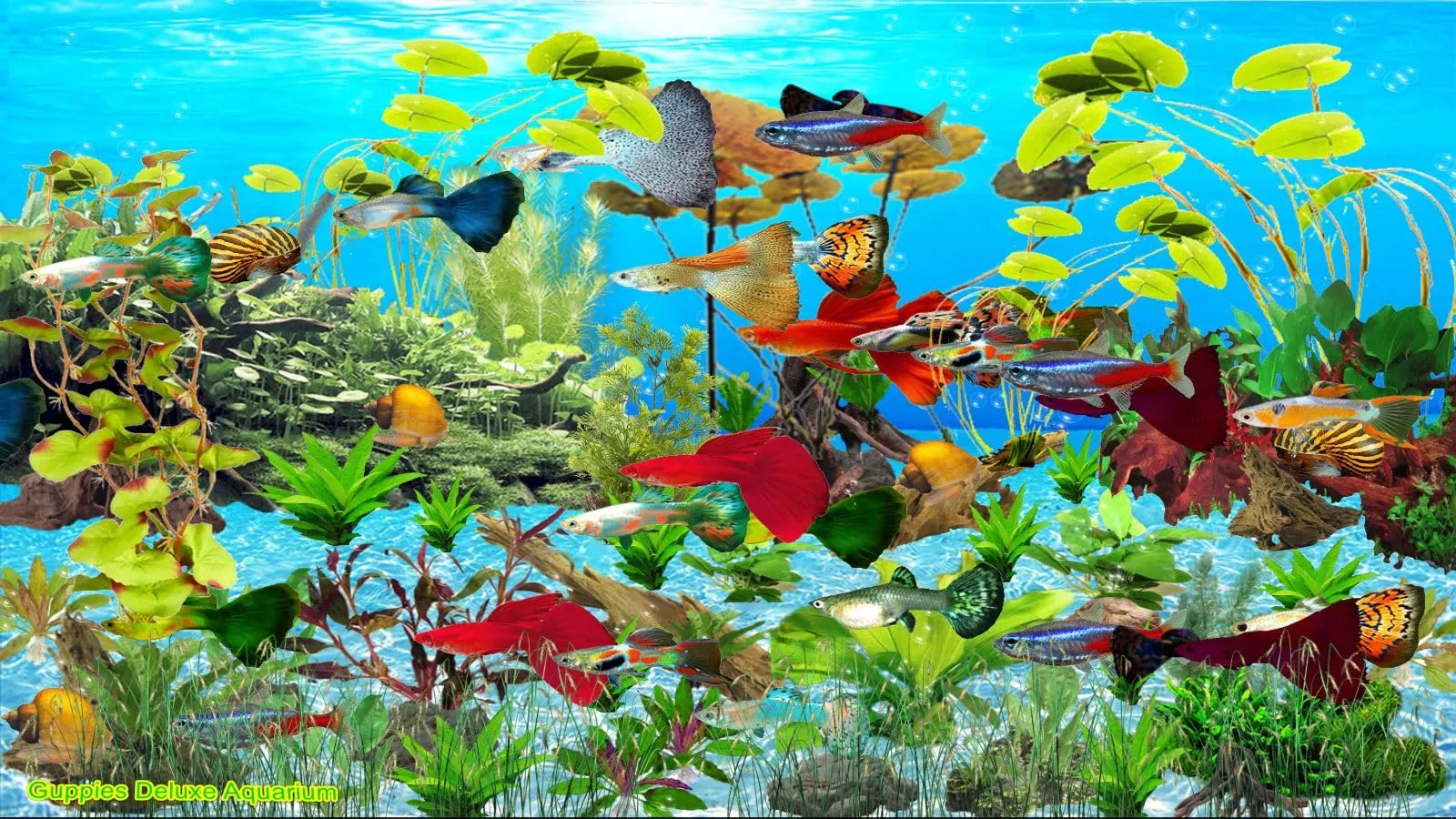 Guppies Deluxe Aquarium [Download]