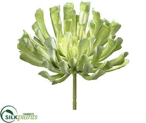 Silk Plants Direct Aeonium Pick - Green Mauve - Pack of 6