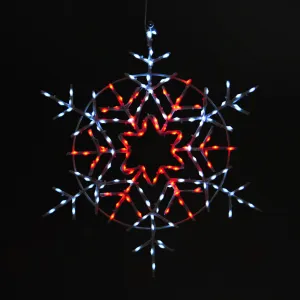 Snowflake 20" Wire Décor