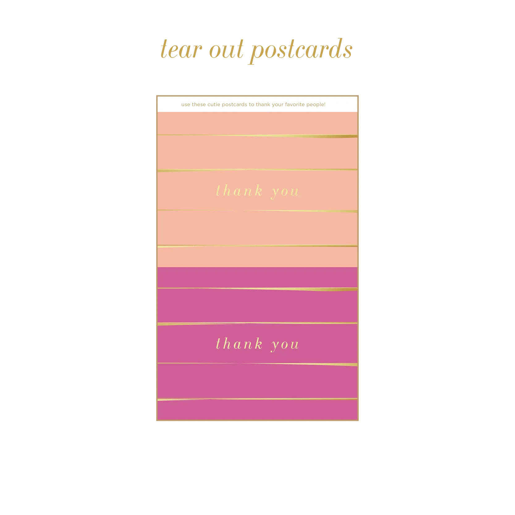 UNDATED paint stripe planner